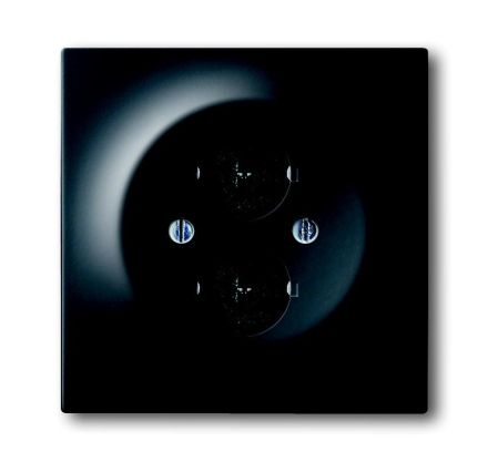 Busch-Jaeger 1751-775 central plate, with support ring black matt