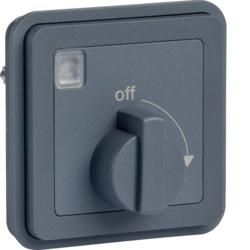 Berker 42273525 W.1 Mech. Z-clock, rotary knob, 15min, insert, gr