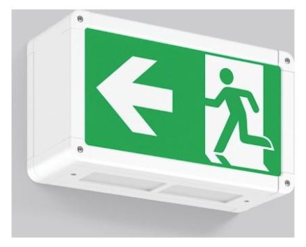 RZB 671207.002.1.89 Wall Rectangle 250 3W 2 LED emergency light