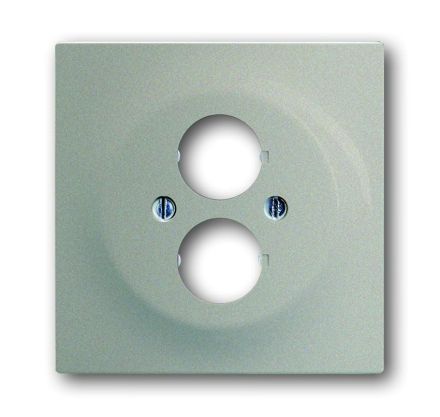 Busch-Jaeger 1751-79 central plate, with support ring champagne metallic