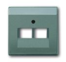 Busch-Jaeger 1803-02-803 central plate, 2-way grey metallic