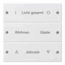 GIRA 220303 TS3 rocker set for label service System 55 | 3-way | pure white glossy