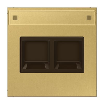 Jung ME1969-25NAWEC cover (latched) for modular jack sockets 2-way, EMT, AMP, MTRJ, with label field, brass, LS series, brass classic