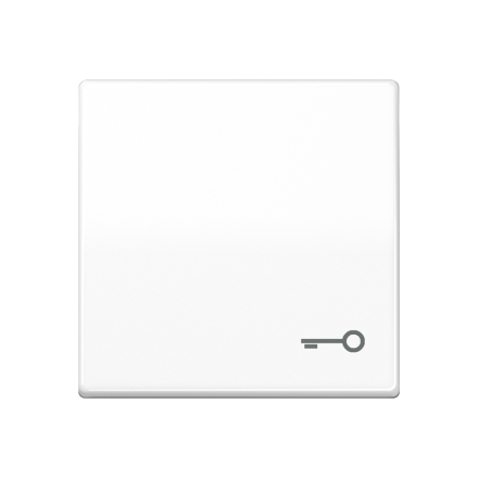 Jung SPAS591TWW rocker switch, symbol door, Duroplast antimicrobial, AS series, alpine white
