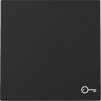 Gira 3287005 Symb.Door Sys.55 sw with rocker