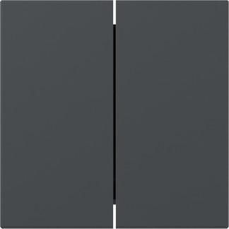 Gira 349528 2f straight Sys.55 anthr rocker