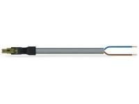 Wago 891-8992/106-605 connecting cable 2p series 891 H05VV-F