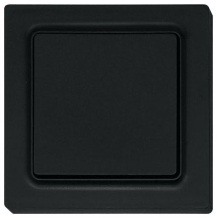 Eltako 30000602 FS55E-am, battery- and wire-free matt radio switch