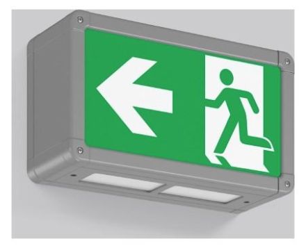 RZB 671207.004.1.89 Wall Rectangle 250 3W 2 LED emergency light