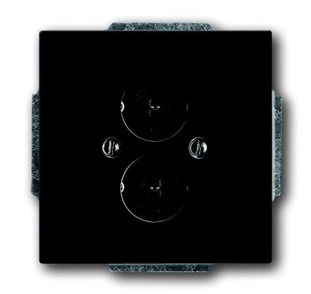 Busch-Jaeger 1751-81 central plate, with support ring anthracite