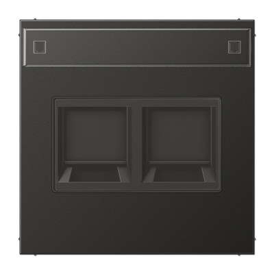 Jung AL1969-2NAWEAN cover (latched) for modular jack sockets 2-way, UMA-CAT6A, RADIALL, Panduit, Assmann, with label field, painted aluminum, LS series, anthracite