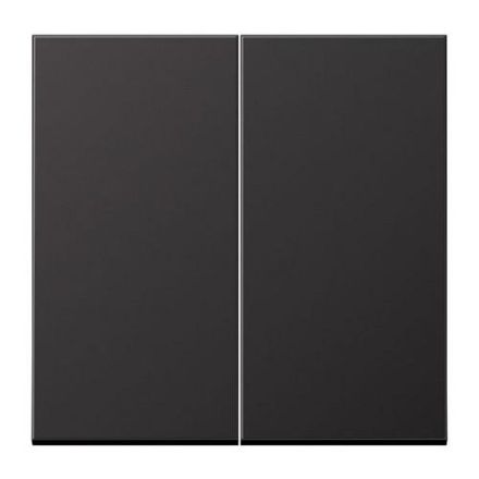 Jung AL2995D rocker 2-way, painted aluminium, LS series, dark (painted aluminium)