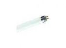 Philips 71685927 fluorescent lamp Master TL Mini 13W 840 1FM/10X25CC