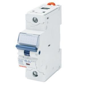 Gewiss GW93308 Heavy Duty C-100A 10kA 1-Pole 1.5TE Circuit Breaker
