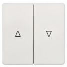 Siemens 5TG6214 series rocker 2-way titanium white