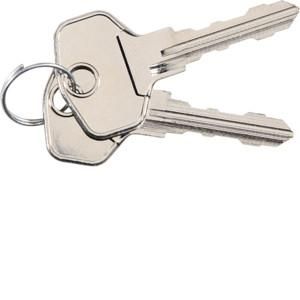 Elcom REH020Y for WINX outdoor station key