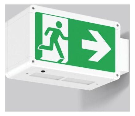 RZB 671209.002.1 Wall Rectangle 250 3.5W LED emergency light