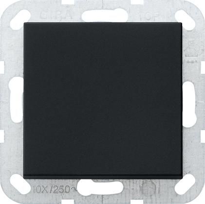 Gira 0130005 changeover straight System 55 sw button