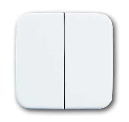Busch-Jaeger 2505-214 rocker alpine white