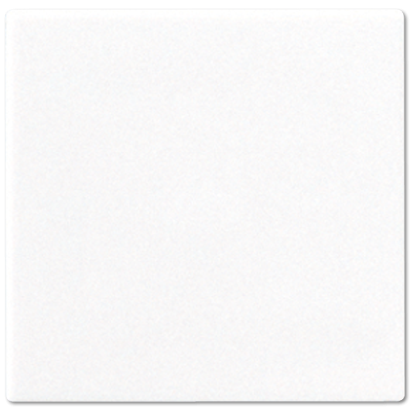 Jung CD594-0PLWW blind cover (latched) central plate, thermoplastic, CD series, alpine white