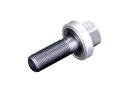 RITTAL 4055633 tension screw D: 19 mm L=55 mm with ball bearing