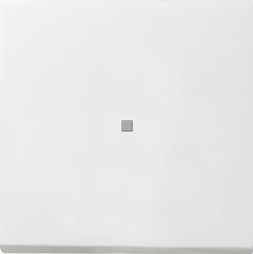 Gira 0290112 rocker control window surface switch pure white