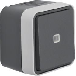 Berker 50763505 button, changeover, illuminated surface-mounted grey/light grey matt Berker W.1