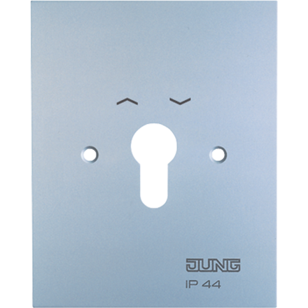 Jung 6.28WUG metal cover 125 x 100 mm, without symbols, WG 800, matt aluminum