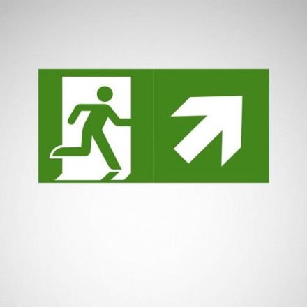 Trilux 7956300 07650/07750 Pictogram SNP 20m, PRO pictogram disc