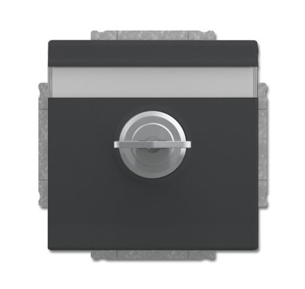 Busch-Jaeger 20 EUKNBSL-81-101 SCHUKO® socket insert, with hinged lid and lock anthracite