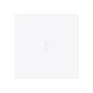 Busch-Jaeger 2CKA001751A3361 1789 N-44G with label field rocker