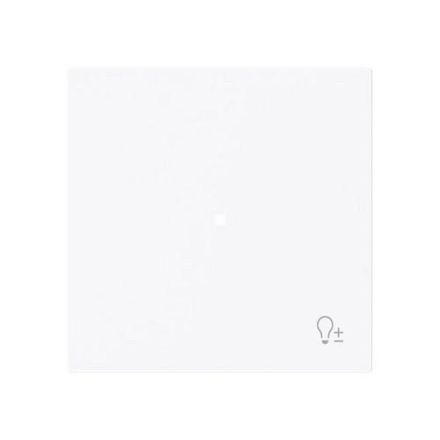 Busch-Jaeger 2CKA006220A0932 6234-10-44G 1-fmSymbol dimmer rocker