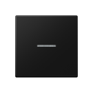 Jung FMA1700BFSWM eNet Standard radio control button