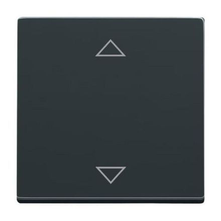 Busch-Jaeger 6430-81-102 control element anthracite