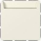 Gira 314001 bel.BSF Sys.55 cws Hotel Card Changer