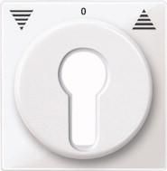 MERTEN 319419 Central plate polar white glossy System M