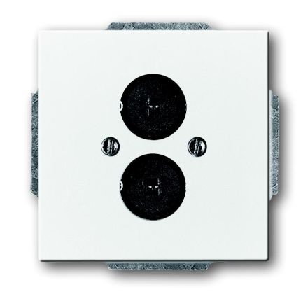Busch-Jaeger 1751-84 central plate, with support ring studio white