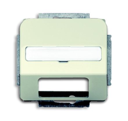 Busch-Jaeger 1769-212 central plate, with labeling field white