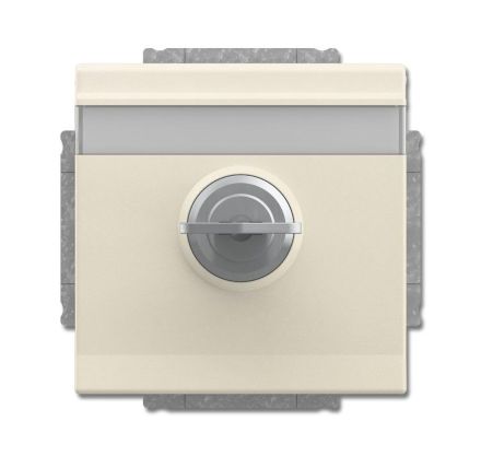 Busch-Jaeger 20 EUKNBSL-82 SCHUKO® socket insert, with hinged lid and lock ivory white