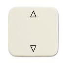 Busch-Jaeger 2506 JA/02-212 rocker, blind button white