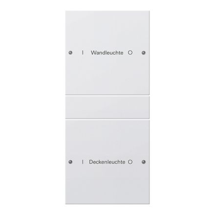 GIRA 220227 TS3 rocker set for label service System 55 | 2-way (1+1) | pure white satin finish