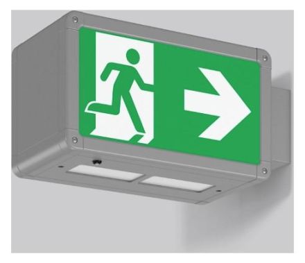 RZB 671209.004.1.89 Wall Rectangle 250 4.5W LED emergency light