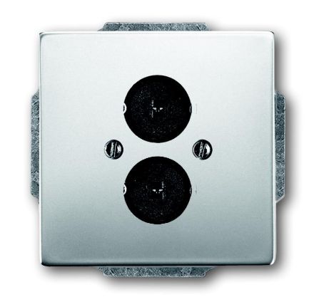 Busch-Jaeger 1751-866 central plate, with support ring stainless steel