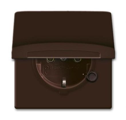 Busch-Jaeger 20 EUGK-31-101 SCHUKO® socket insert, with hinged cover brown