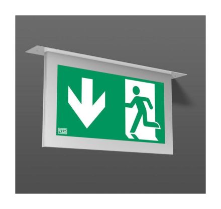 RZB 672030.004 Tenuo LED 2.5W 420x55x262 1xMotiv LED emergency light