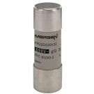 Mersen F212594J FR22GG69V32 32A gG AC400-690V 22x58 cylindrical fuse link