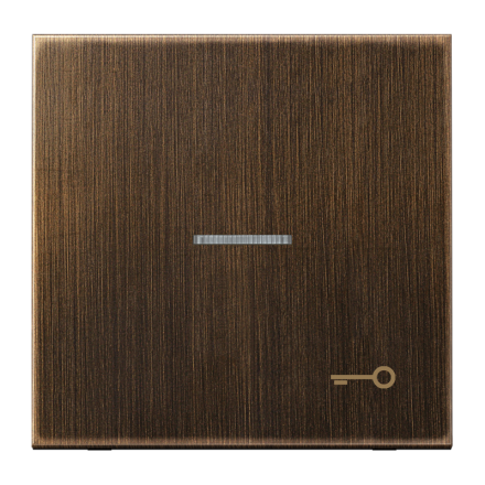 Jung ME2990KO5TAT rocker with light guide, symbol door, brass, series LS, antique brass