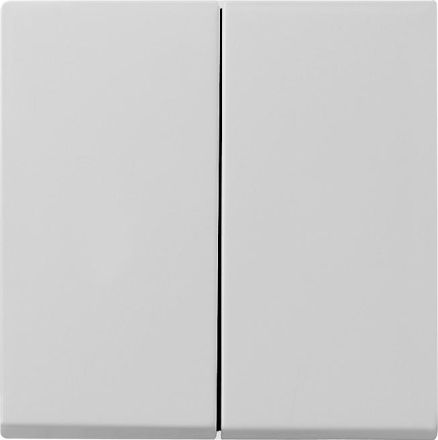 Gira 0295015 2f Sys 55 grey rocker