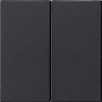 Gira 5370005 2f unprinted Sys 55 sw with rocker