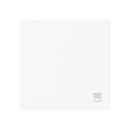 Busch-Jaeger 2CKA006220A0936 6232-10-44G 1-fmSymbol blind rocker